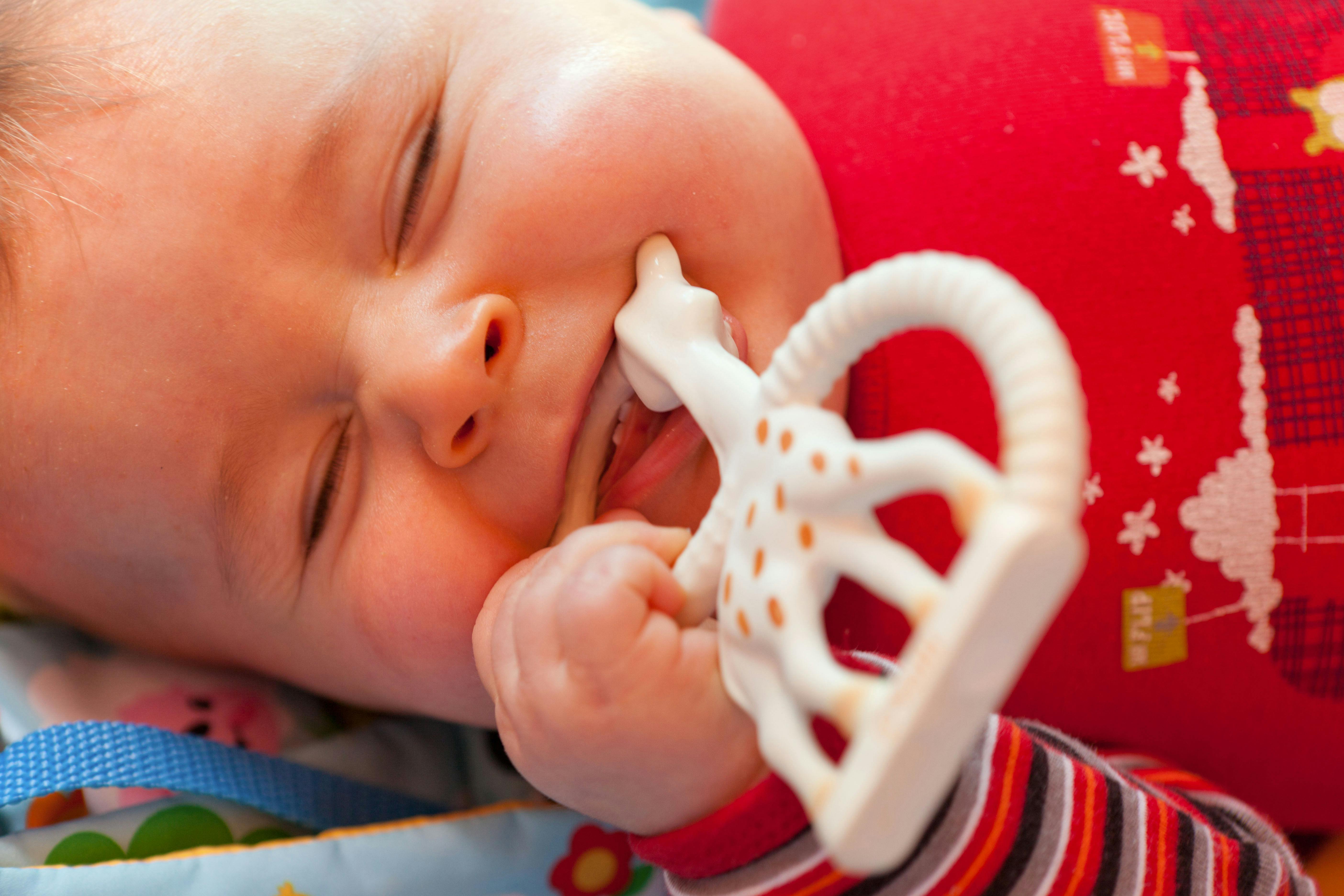 Baby teeth and the order they appear in Closer Family Closer